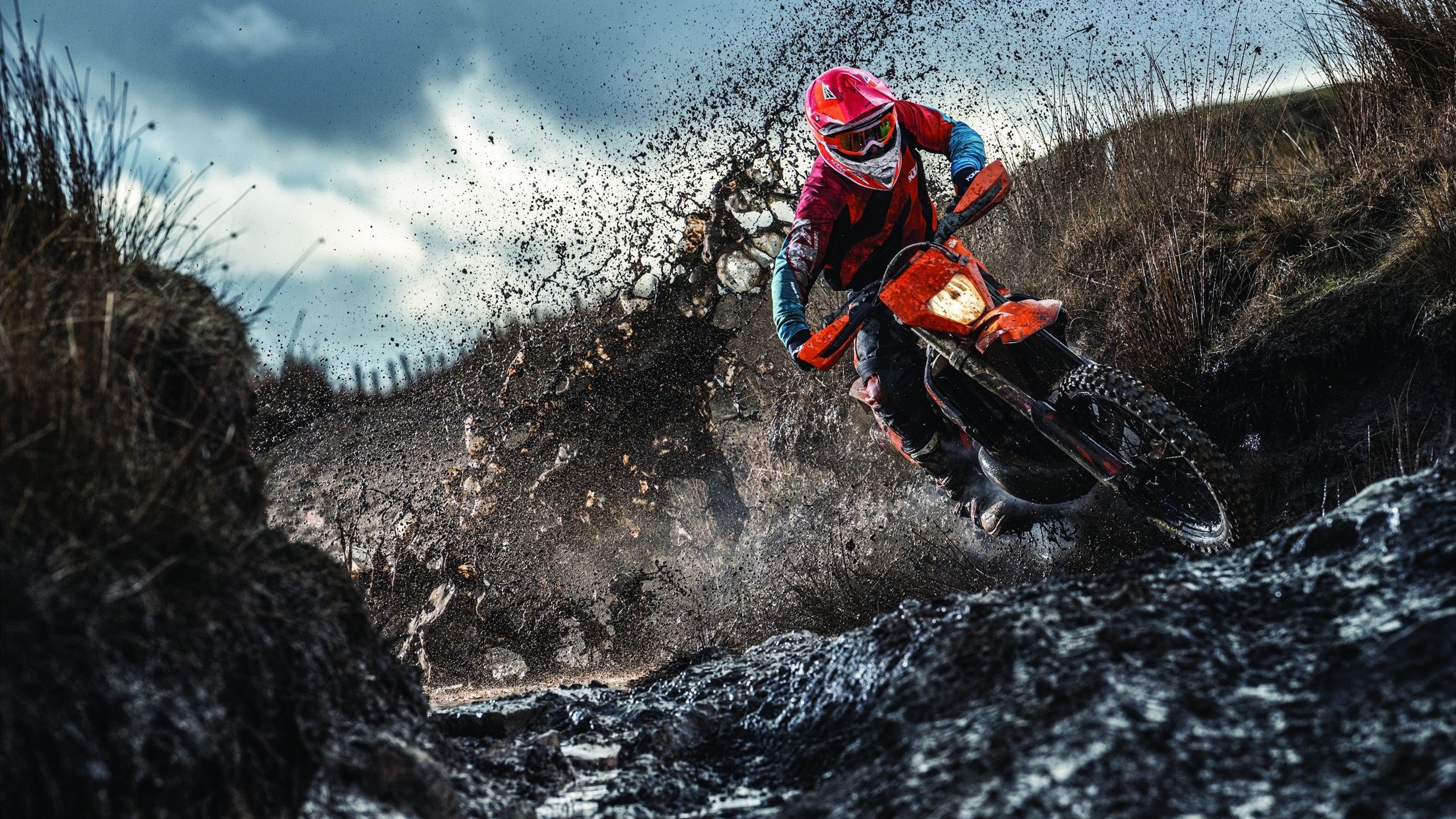 湖人队球员集体外出 享受难得休闲时光，湖人全体队员合照